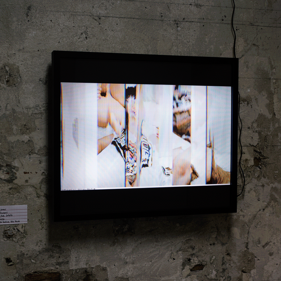 Videoscan - Animated GIF of scanned video deformation